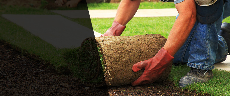 Arvada Landscapers